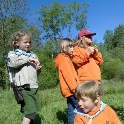 52010560 - Scouts en Gidsen Zaventem 